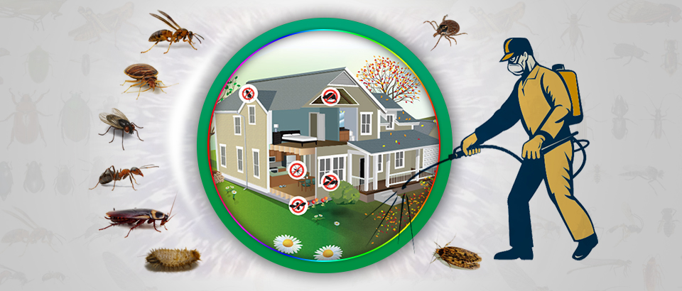Highly rated Pest Control service Provider in Trivandrum